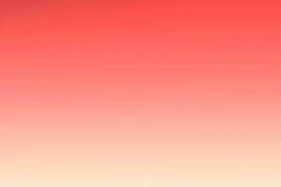 Tôi Càng Ăn Càng Trở Nên Mạnh Mẽ Chapter 29 - 203