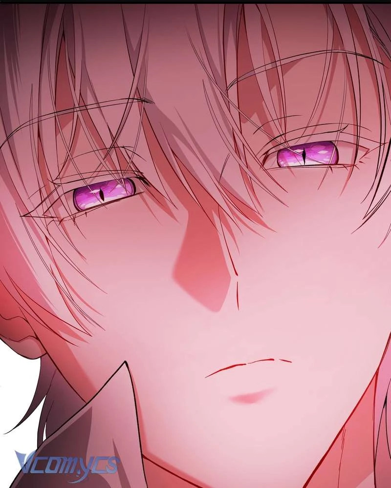 Cô Ấy Sẽ Thuần Hóa Các Anh Hùng Chapter 27 - 42