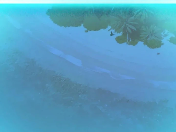 Bách Thú Chi Vương Chapter 42 - 86