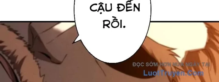 Anh Hùng Tái Xuất Học Viện Chapter 28 - 393