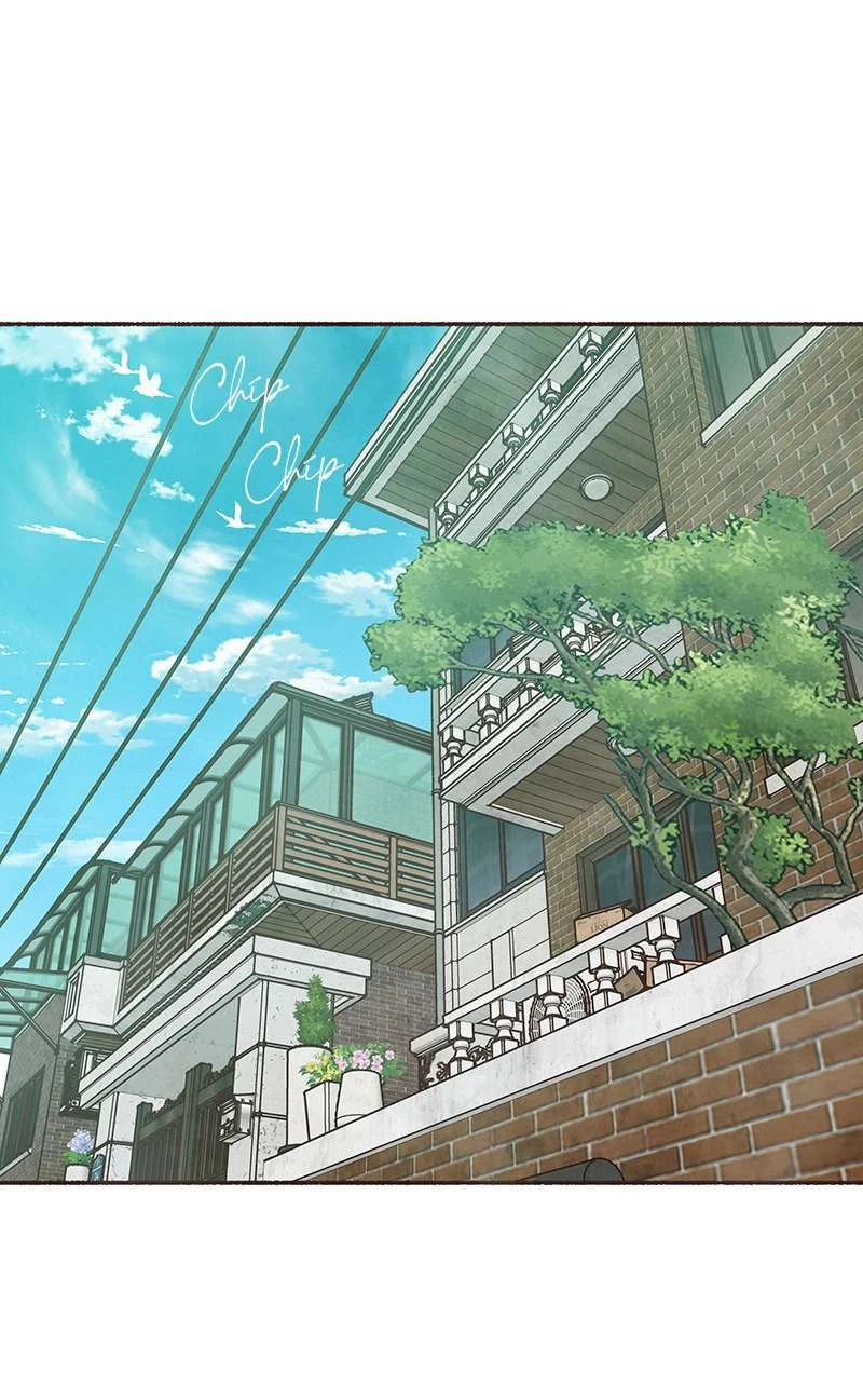 Cảm Xúc Chuyển Giao Chapter  24 - 3