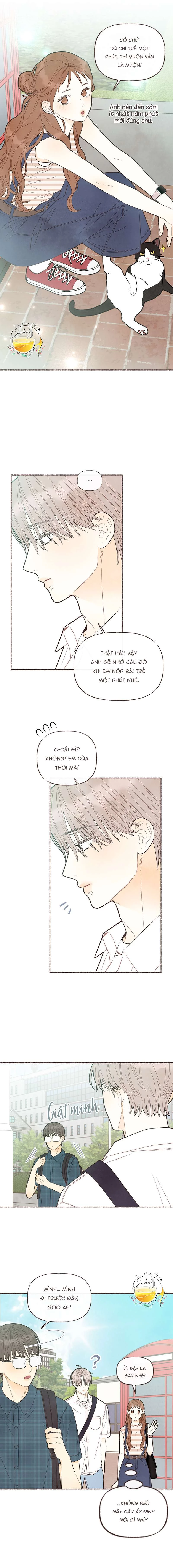 Cảm Xúc Chuyển Giao Chapter 25 - 11