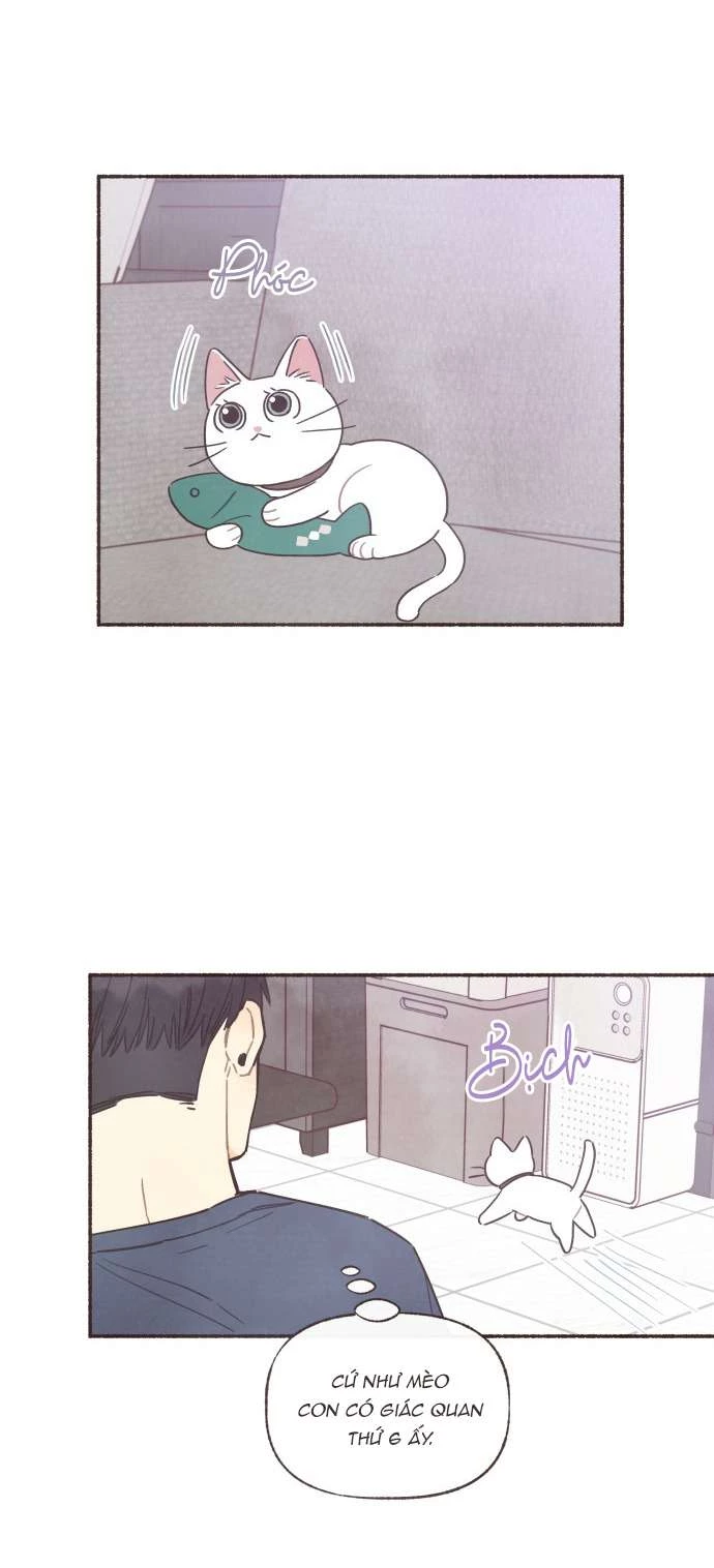 Cảm Xúc Chuyển Giao Chapter  23 - 20