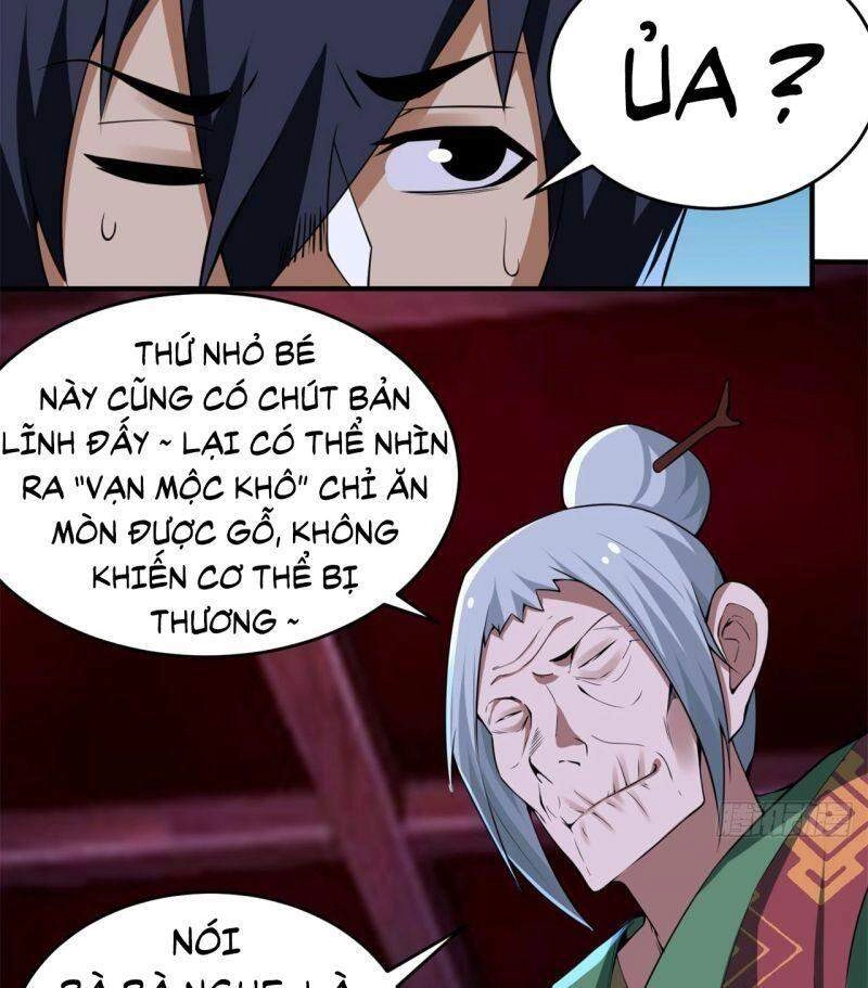 Ta Chỉ Muốn Bị Các Vị Đánh Chết Chapter 11 - 5