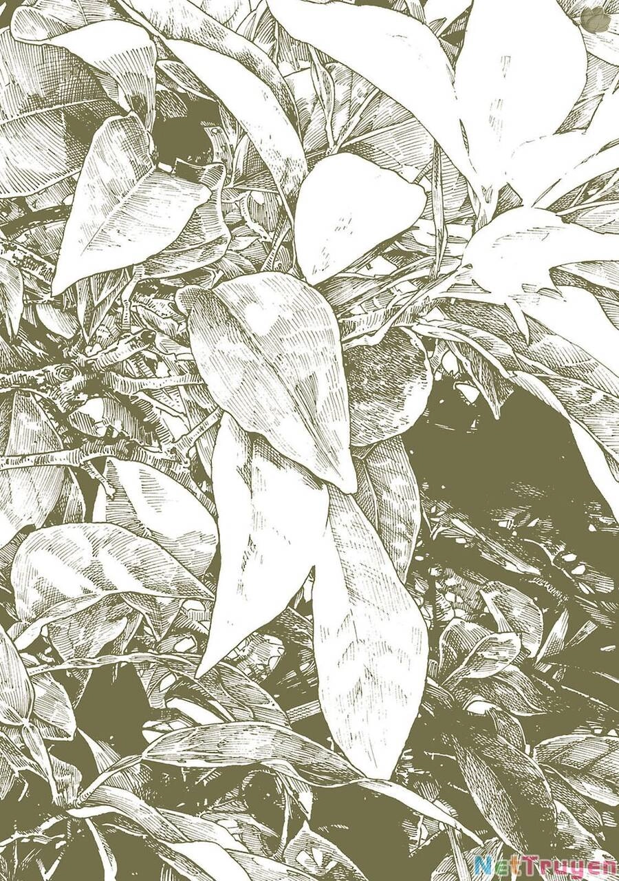 Cuộc Sống Tí Hon Trong Rừng Sâu. Chapter 27 - 3