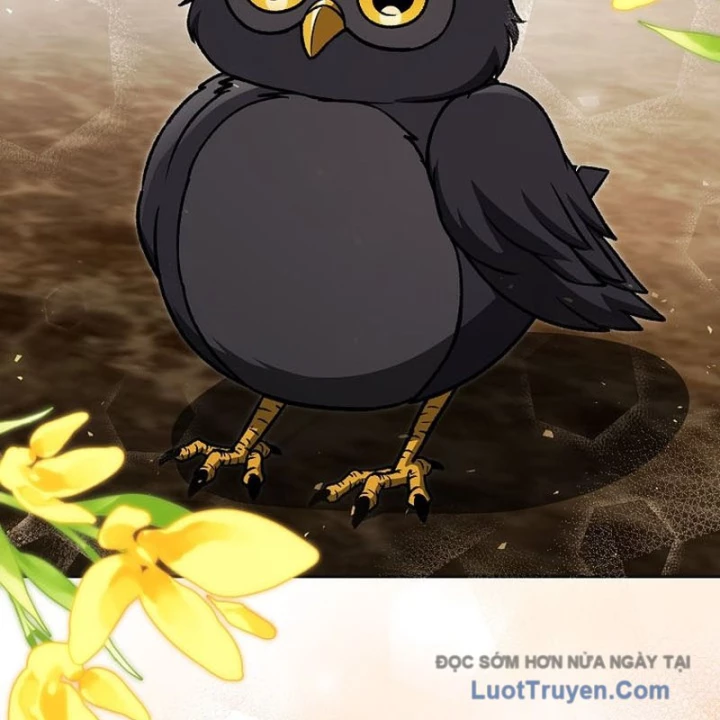 Thiên Tài Phép Thuật Nắm Bắt Khái Niệm Chapter 37 - 36