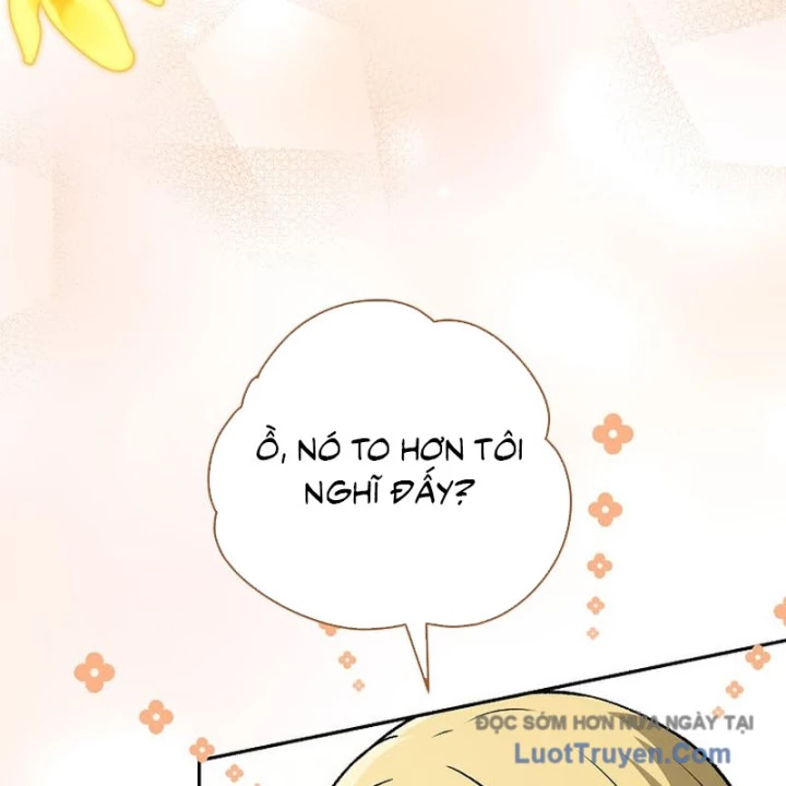 Thiên Tài Phép Thuật Nắm Bắt Khái Niệm Chapter 37 - 37