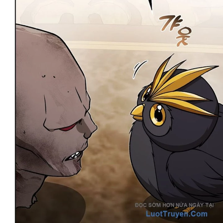 Thiên Tài Phép Thuật Nắm Bắt Khái Niệm Chapter 37 - 47