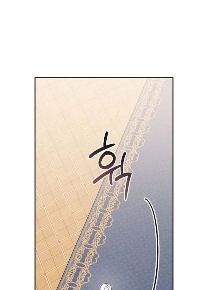 Thiên Tài Phép Thuật Nắm Bắt Khái Niệm Chapter 42 - 43