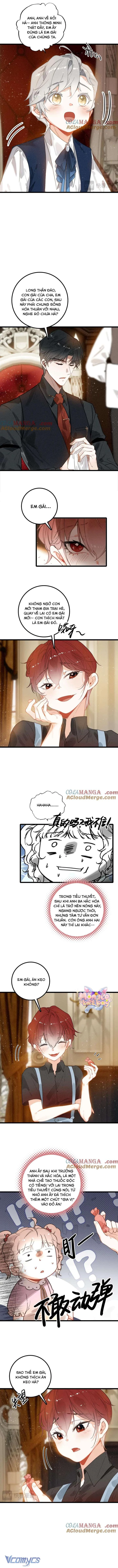 Sau Khi Xuyên Không Thành Tiểu Bảo Bảo, Cả Nhà Phản Diện Đều Muốn Giết Tôi! Chapter 11 - 6