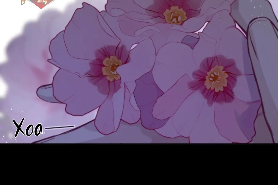 Nhịp Đập Cảm Xúc Chapter 16 - 53