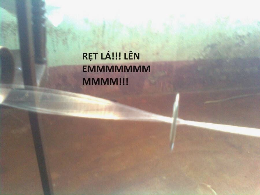 Hổ Đến Chơi Nhà Chapter 71 - 61