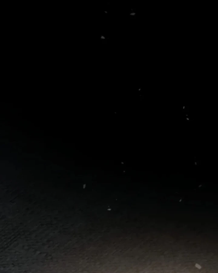 Toàn Trí Độc Giả Chapter 302 - 108