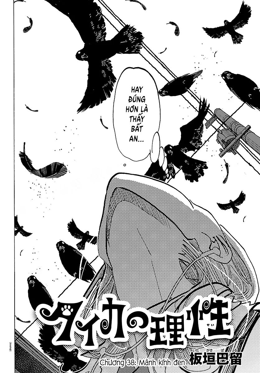 Lý Trí Của Taika Chapter 38 - 2