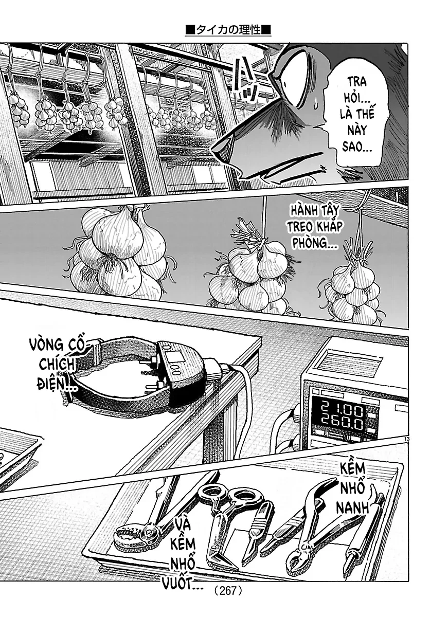 Lý Trí Của Taika Chapter 38 - 13