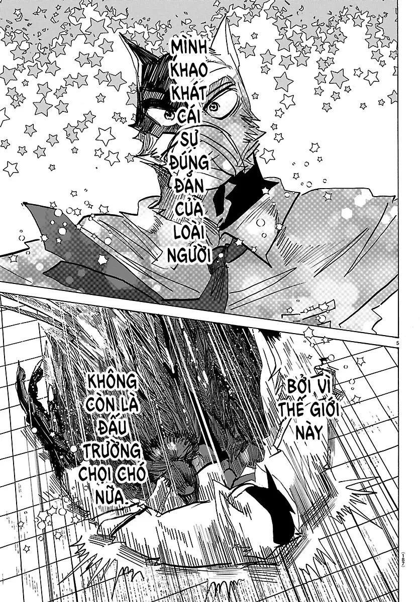 Lý Trí Của Taika Chapter 40 - 4