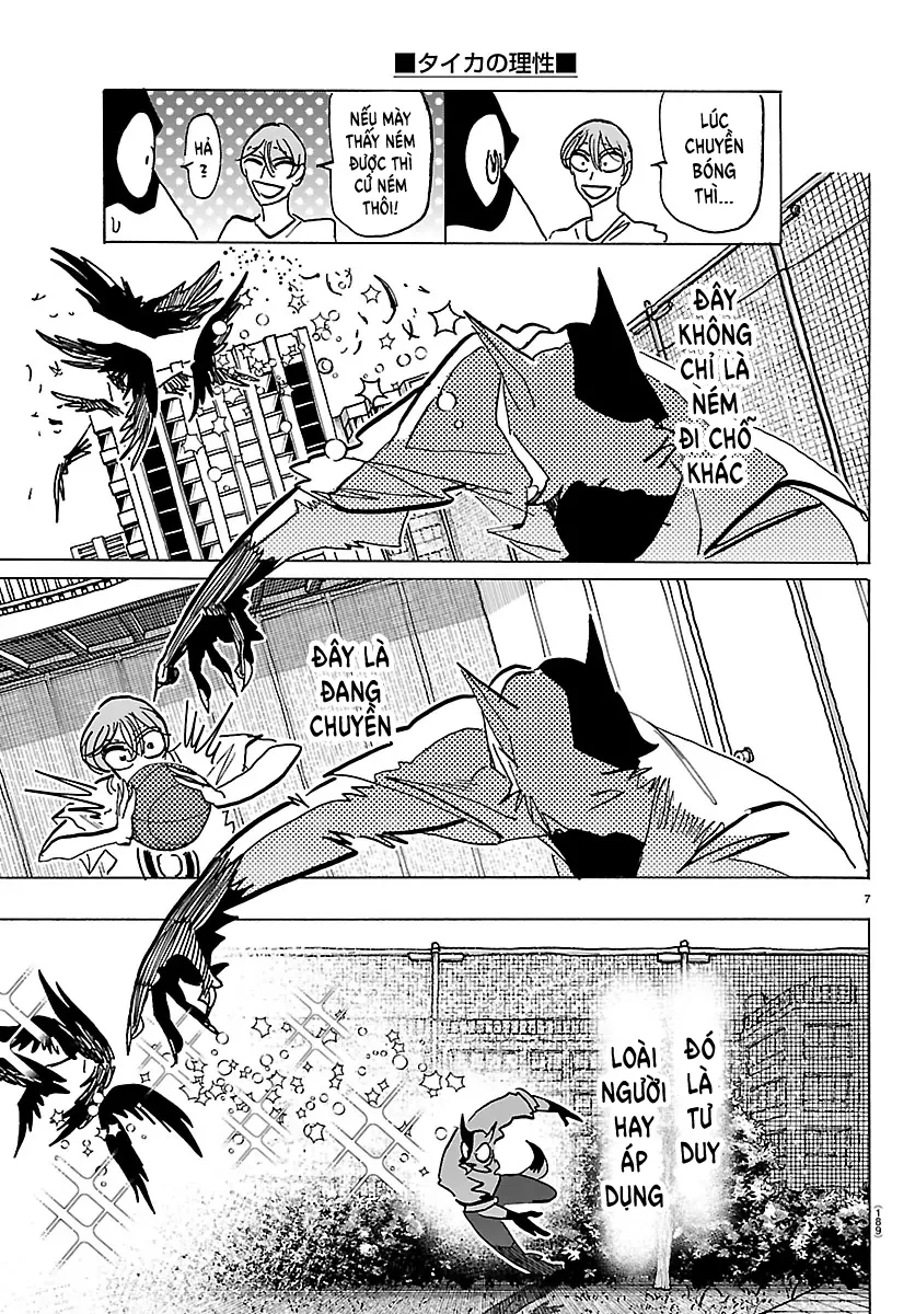 Lý Trí Của Taika Chapter 40 - 6