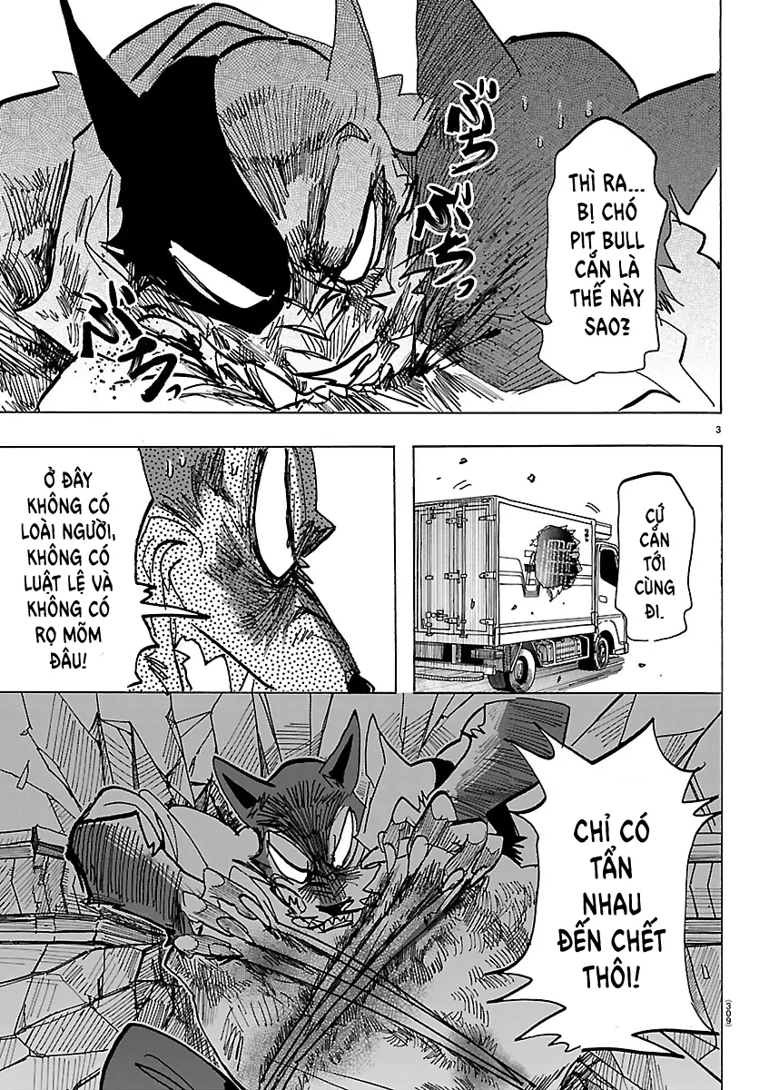 Lý Trí Của Taika Chapter 42 - 3