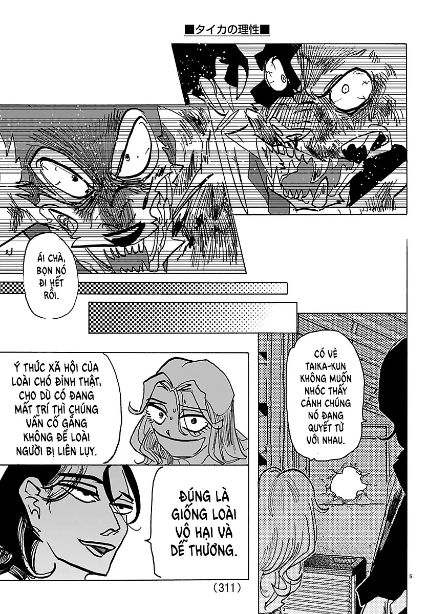 Lý Trí Của Taika Chapter 42 - 5