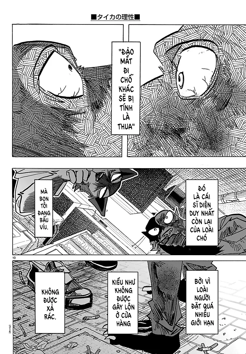 Lý Trí Của Taika Chapter 42 - 9