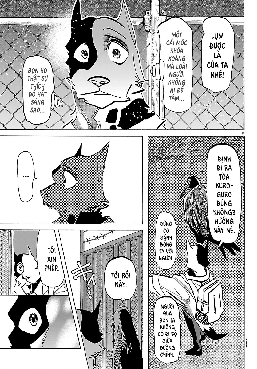 Lý Trí Của Taika Chapter 51 - 11