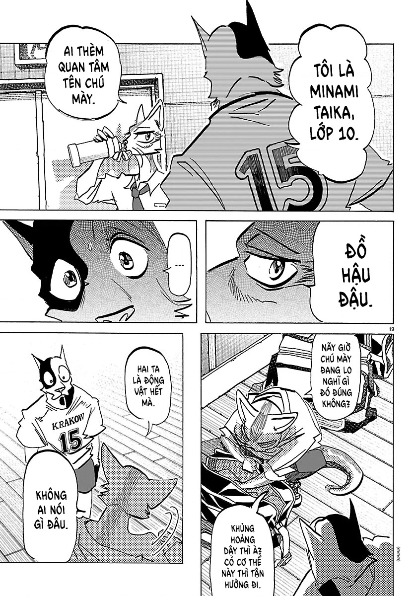 Lý Trí Của Taika Chapter 52 - 17