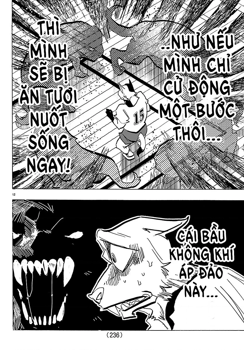 Lý Trí Của Taika Chapter 53 - 12