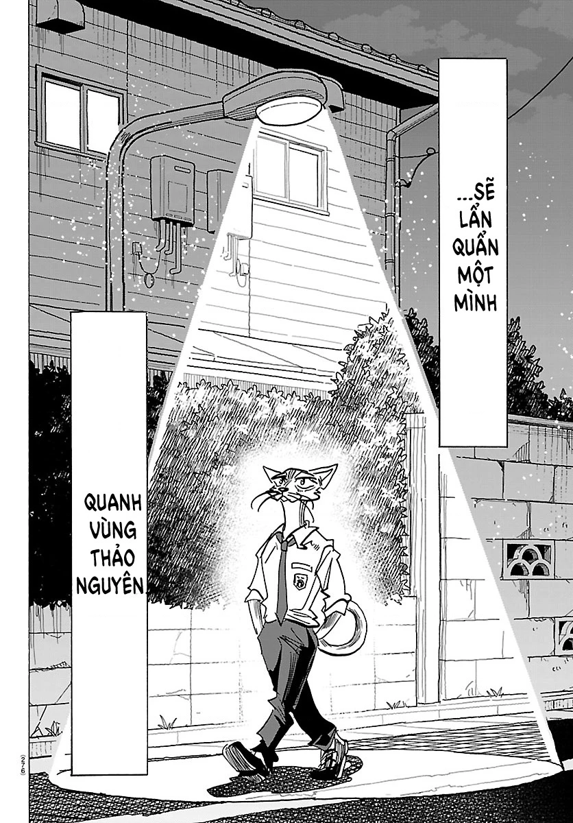 Lý Trí Của Taika Chapter 54 - 13