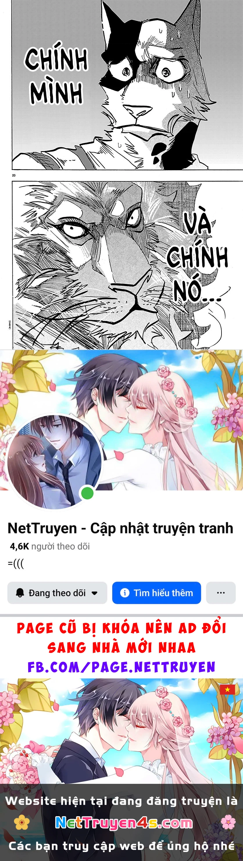 Lý Trí Của Taika Chapter 54 - 20