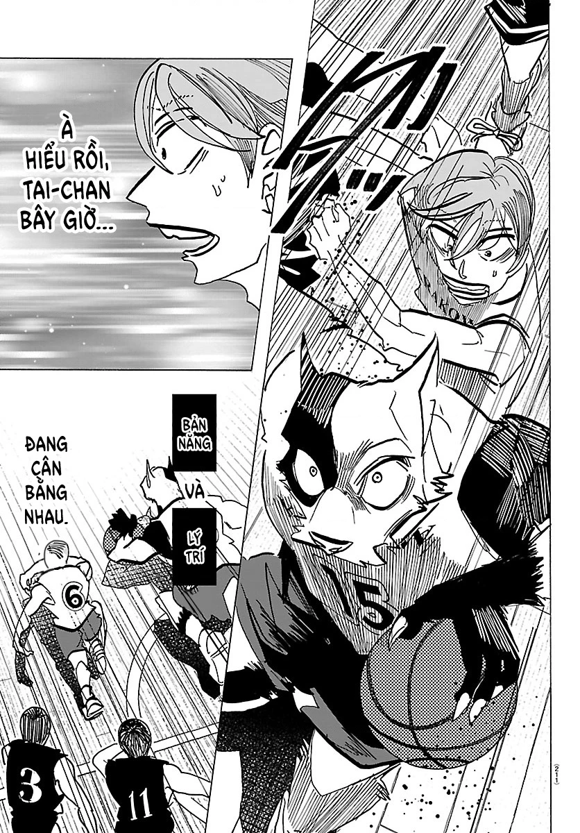 Lý Trí Của Taika Chapter 58 - 14