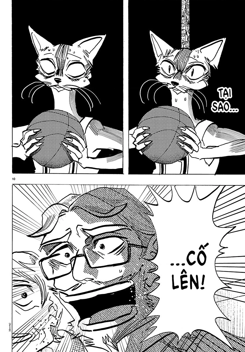 Lý Trí Của Taika Chapter 59 - 10