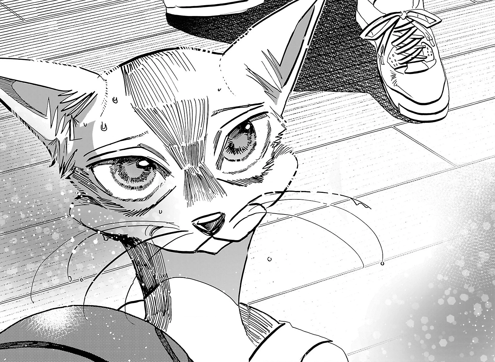 Lý Trí Của Taika Chapter 59 - 12