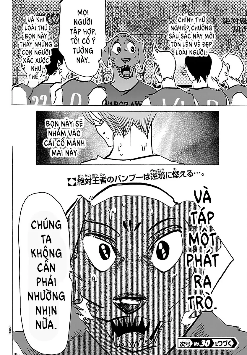 Lý Trí Của Taika Chapter  70 - 19