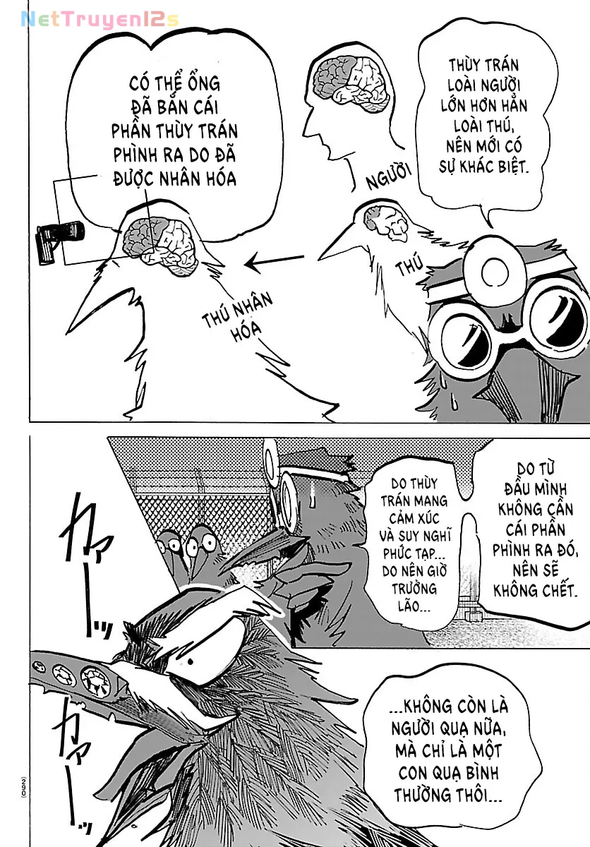Lý Trí Của Taika Chapter  74 - 13