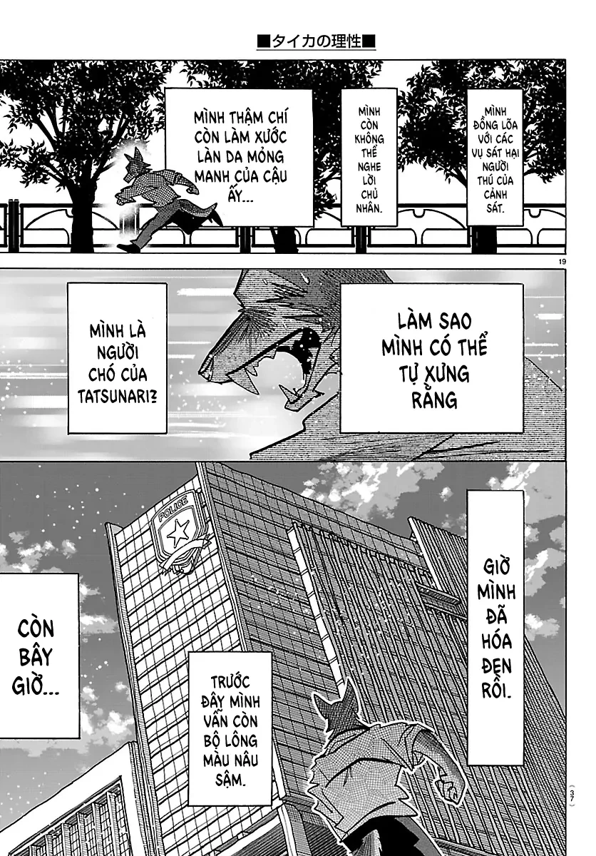 Lý Trí Của Taika Chapter 36 - 20