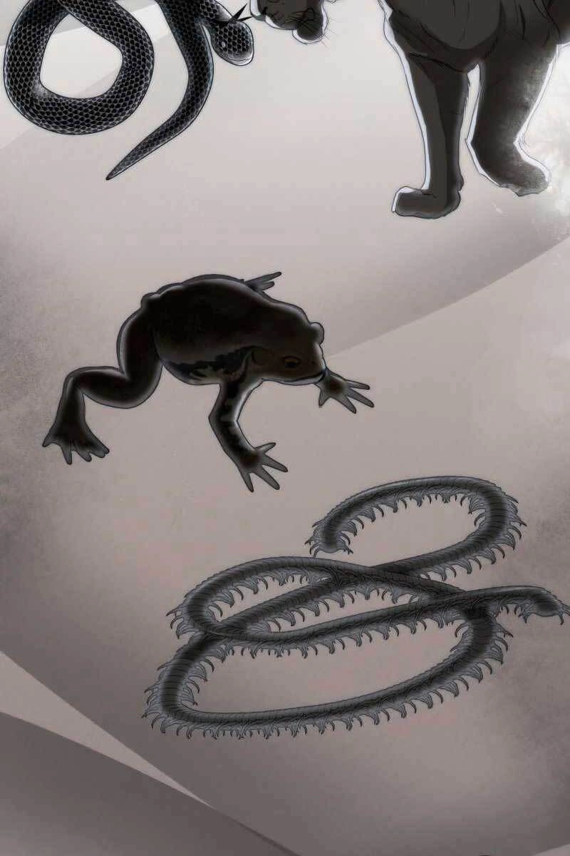 Bác Sĩ Trùng Sinh Về Murim Chapter 99 - 39