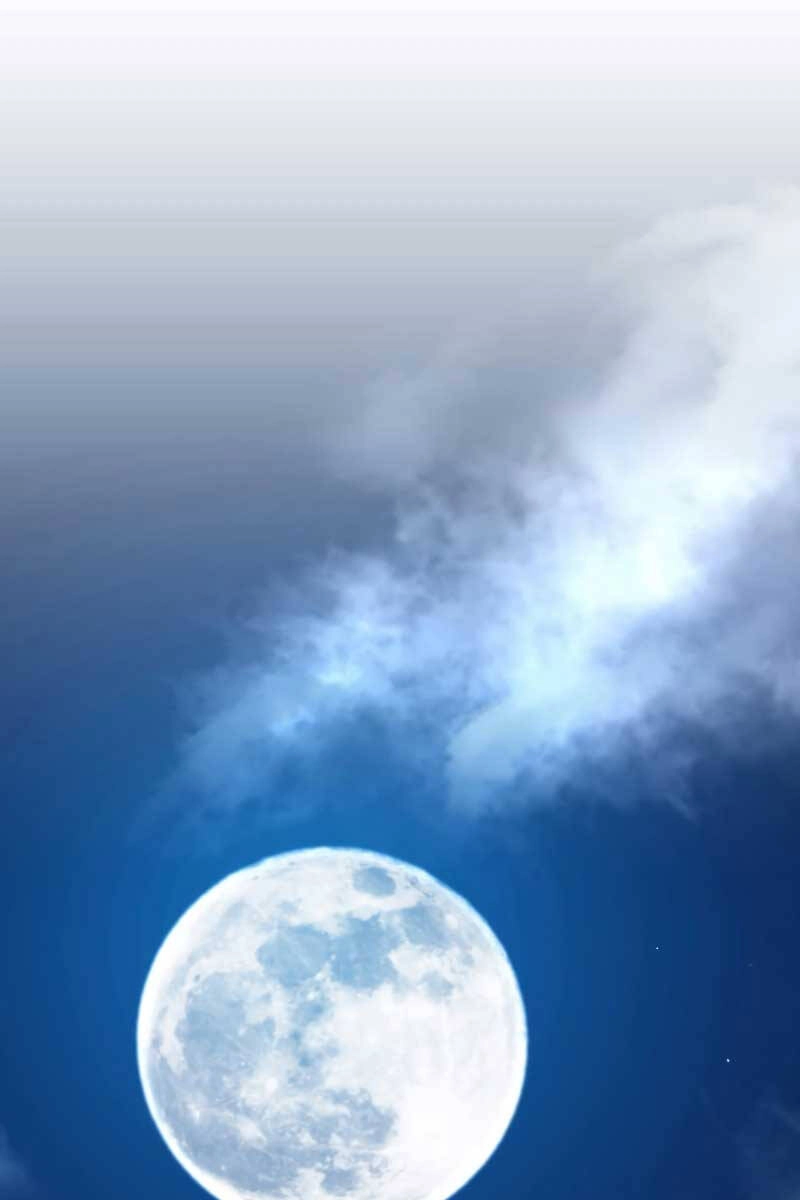 Bác Sĩ Trùng Sinh Về Murim Chapter 112 - 106