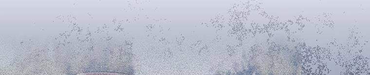 Hãy Để Tôi Được Hiểu Em Chapter 85 - 249