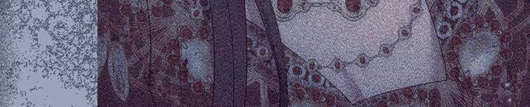 Hãy Để Tôi Được Hiểu Em Chapter 85 - 260