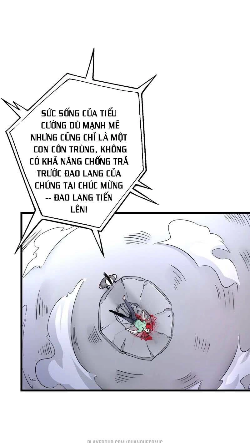 Siêu Cấp Thần Y Tại Đô Thị Chapter 41 - 32