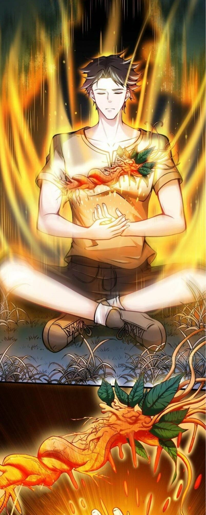 Siêu Cấp Thần Y Tại Đô Thị Chapter 62 - 24