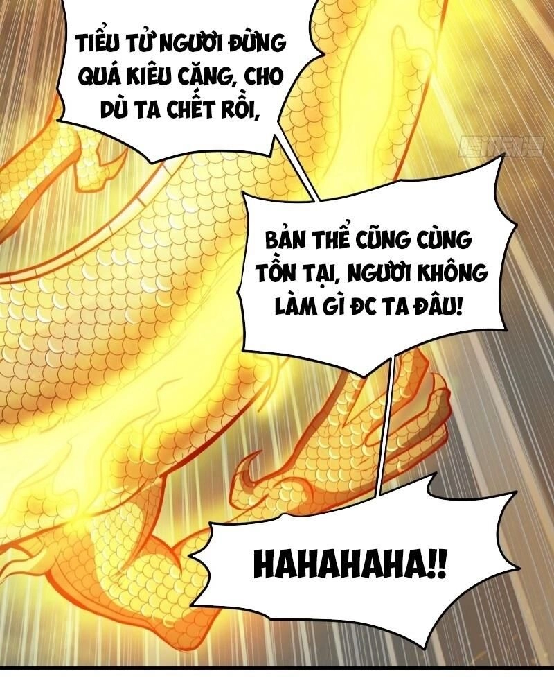 Siêu Cấp Thần Y Tại Đô Thị Chapter 84 - 28