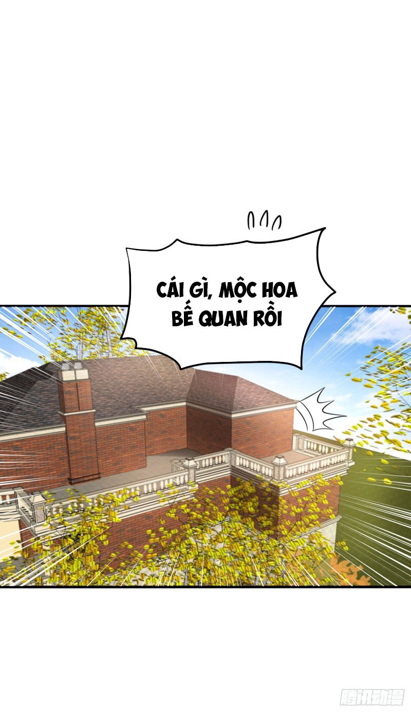 Siêu Cấp Thần Y Tại Đô Thị Chapter 135 - 30