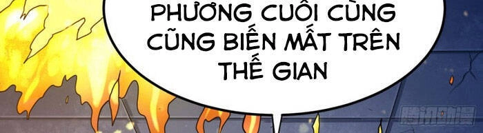 Siêu Cấp Thần Y Tại Đô Thị Chapter 151 - 18