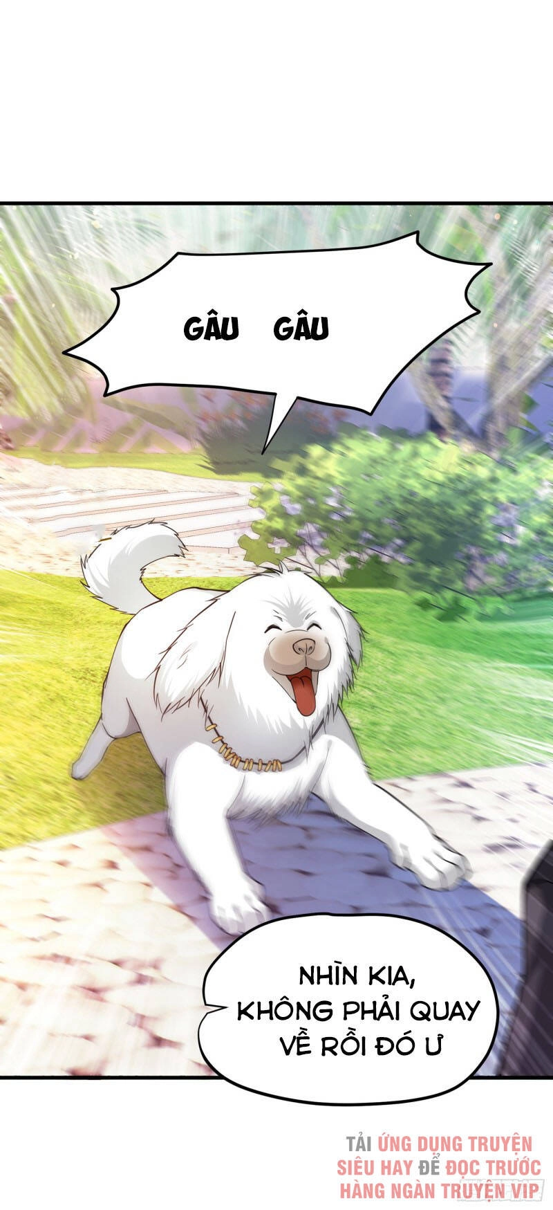 Siêu Cấp Thần Y Tại Đô Thị Chapter 171 - 37