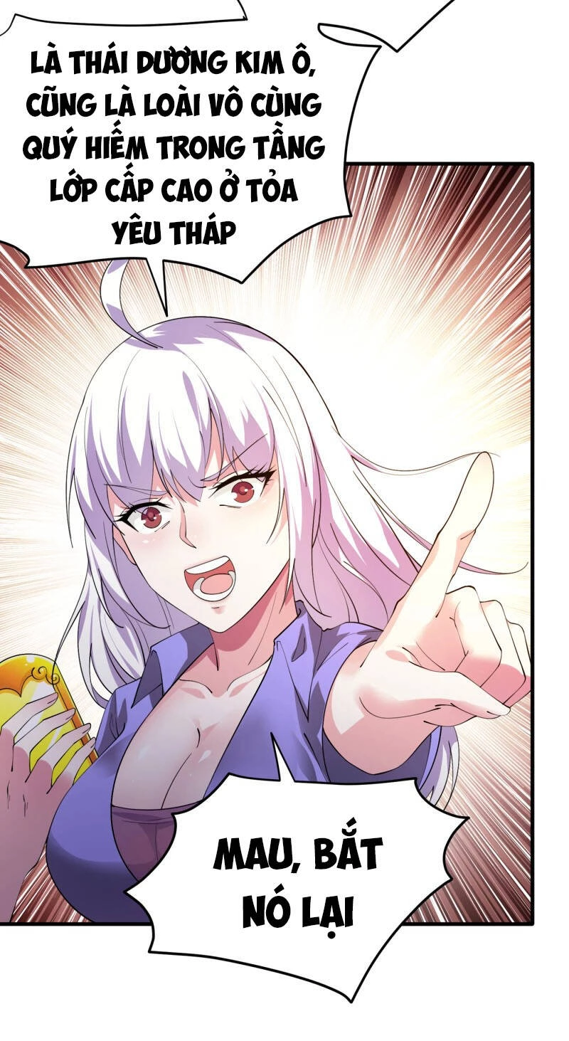 Siêu Cấp Thần Y Tại Đô Thị Chapter 184 - 33