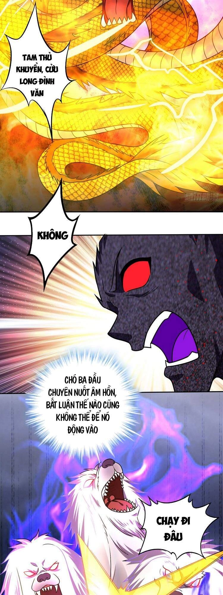 Siêu Cấp Thần Y Tại Đô Thị Chapter 201 - 13