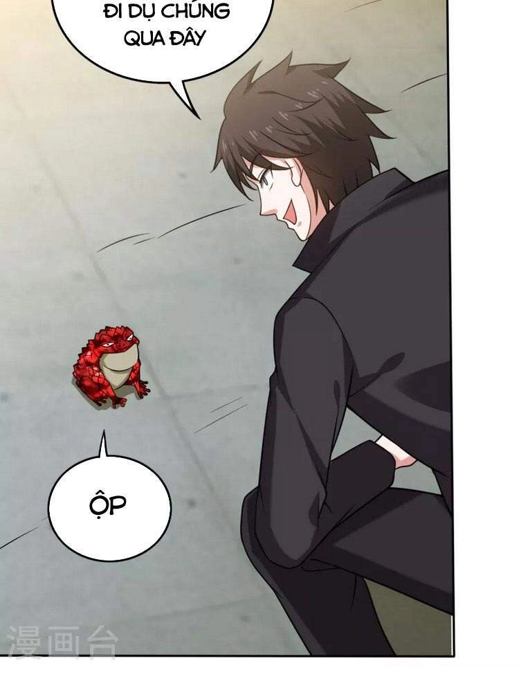 Siêu Cấp Thần Y Tại Đô Thị Chapter 205 - 12