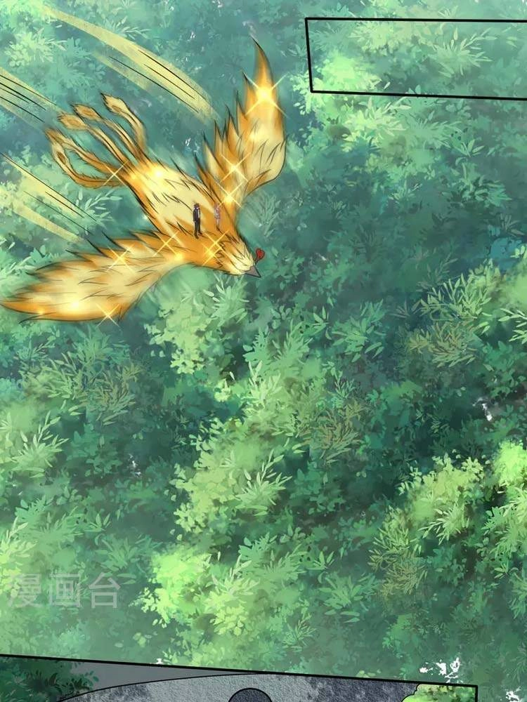 Siêu Cấp Thần Y Tại Đô Thị Chapter 212 - 17