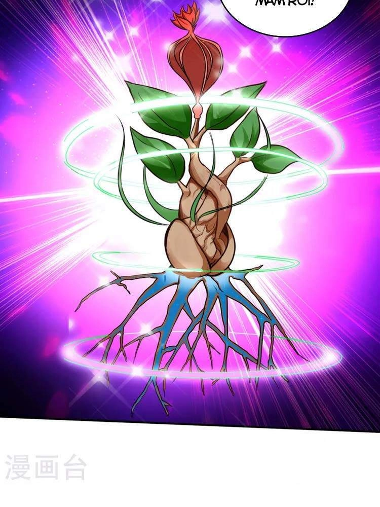 Siêu Cấp Thần Y Tại Đô Thị Chapter 213 - 27